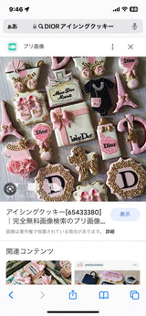 2/20 野崎ひかる様　Dior