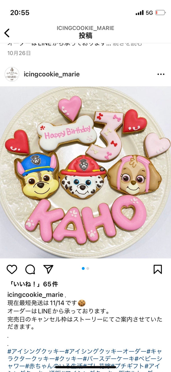 1/9 白井日香理様　パウパトロール