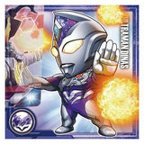4/17　石井千明様　ウルトラマン