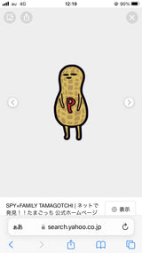 1/9 中嶋さよ子様　スパイファミリー