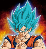 2/20 米本 真由美様　ドラゴンボール