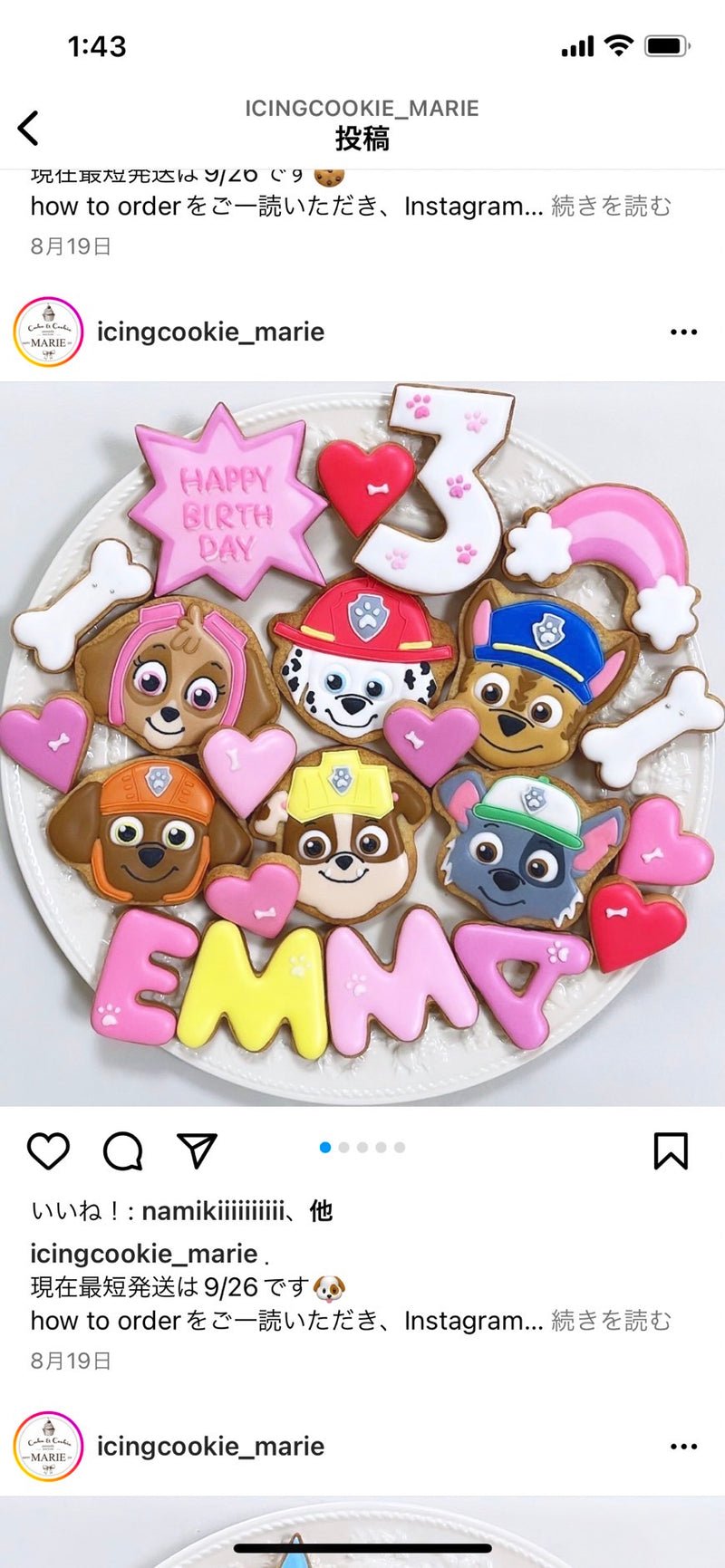 10/10 パウパトロール　野村緑様