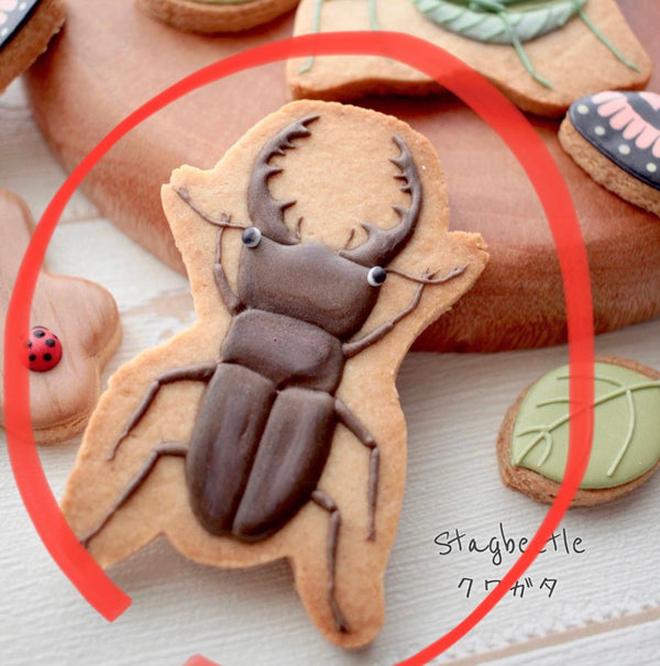 10/10 昆虫　森岡　海様