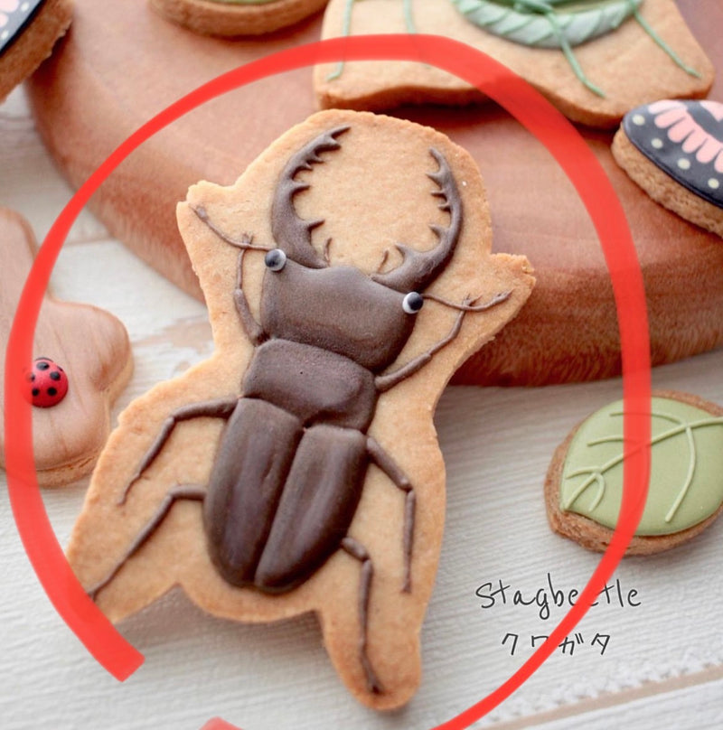 10/10 昆虫　森岡　海様