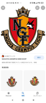 11/14 宮鹿野悦子様　サッカー