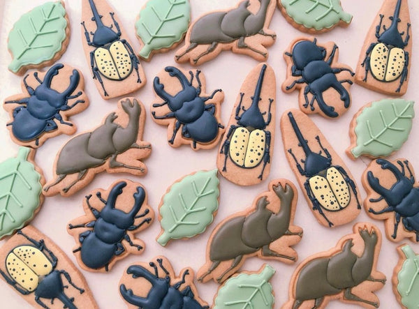 10/10 昆虫　森岡　海様