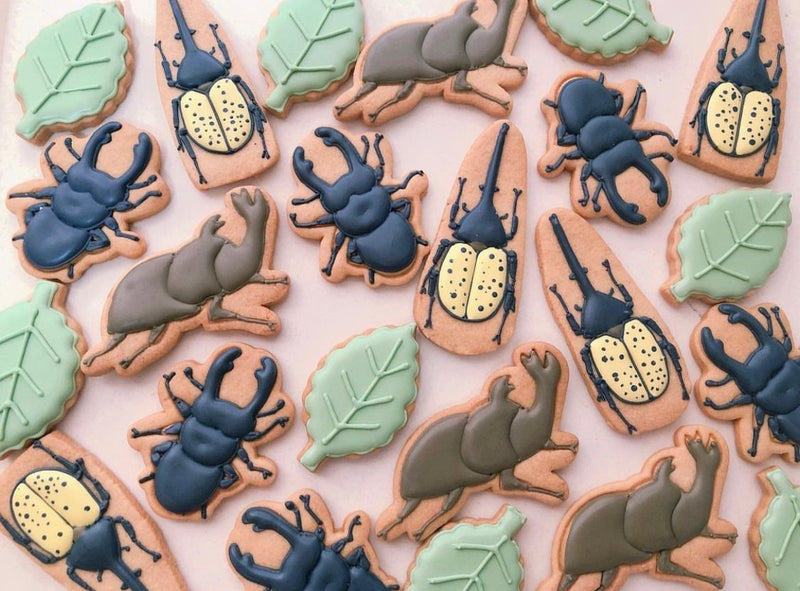 10/10 昆虫　森岡　海様