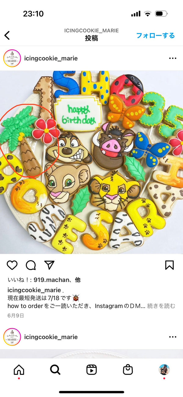 1/23 須貝未里様　ライオンキング