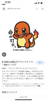 1/23 前田絵梨様　ポケモン